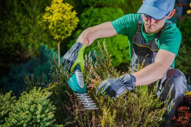 landscaping services Hammondsport